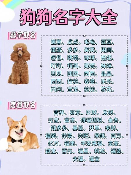 魔羯座专属狗狗网名有哪些_如何挑选