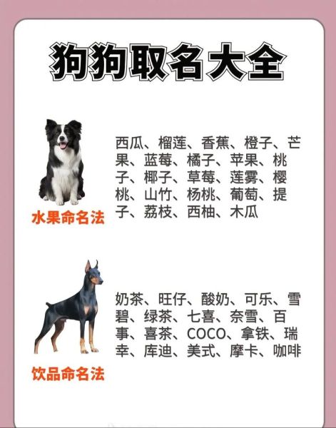 魔羯座专属狗狗网名有哪些_如何挑选
