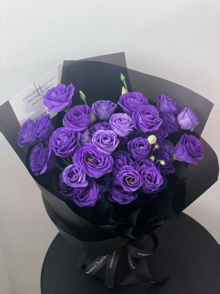 天蝎座生辰花是什么_天蝎座适合养什么花