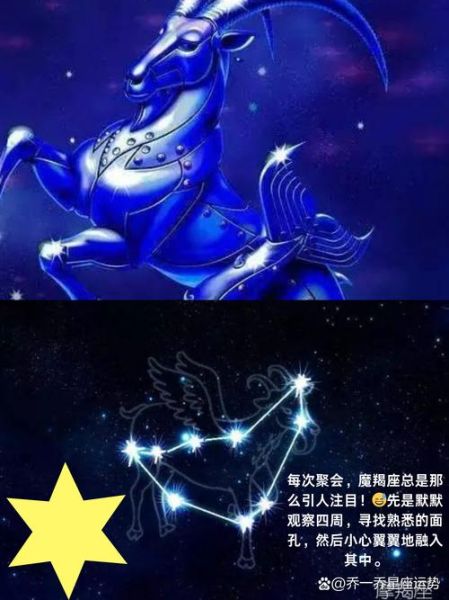 魔羯小熊是什么星座_魔羯小熊性格特点
