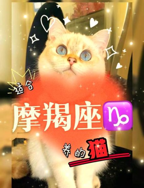 魔羯不吃猫是真的吗_魔羯不吃猫原因解析
