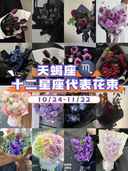 魔羯座代表花是什么_魔羯座幸运花语解析