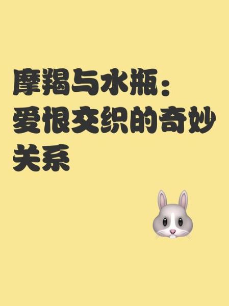 水瓶和魔羯谁克谁_星座配对真相