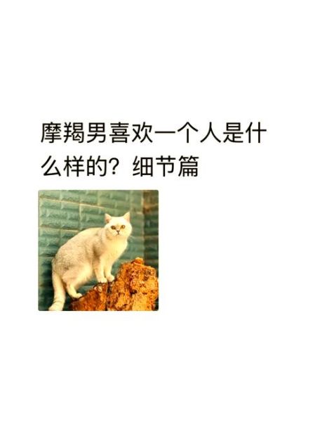 魔羯男喜欢一个人_如何看出魔羯男动心了