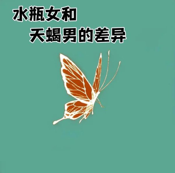 水瓶座和天蝎座合适吗_如何让感情长久