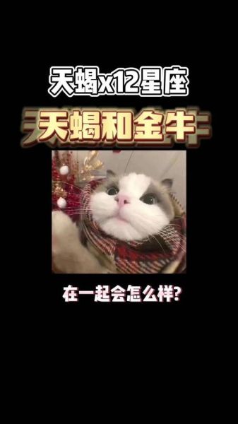 金牛座和天蝎座配吗_如何相处才长久