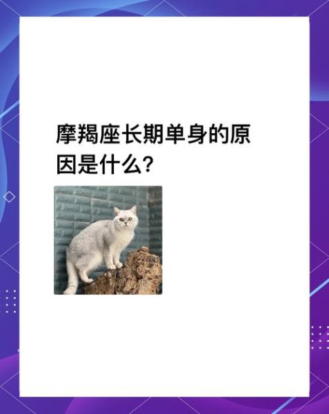 魔羯为什么容易单身_魔羯座单身原因