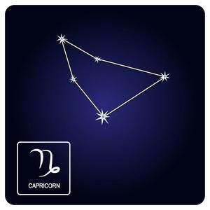 魔羯股票怎么样_适合新手长期持有吗