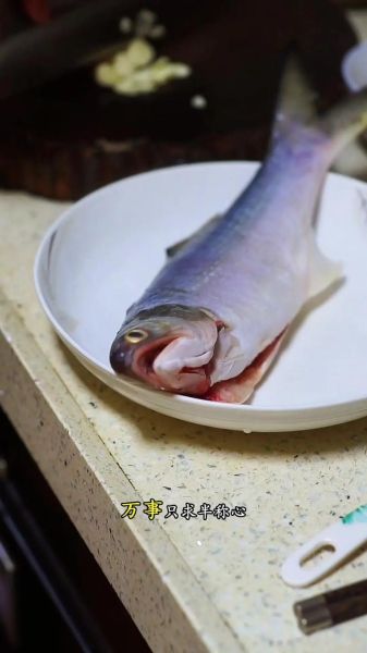 涂双鱼是什么_涂双鱼怎么做才好吃