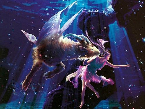 魔羯数码怎么样_魔羯数码靠谱吗