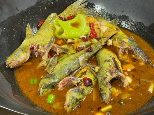 炖双鱼怎么做_炖双鱼用什么鱼最好