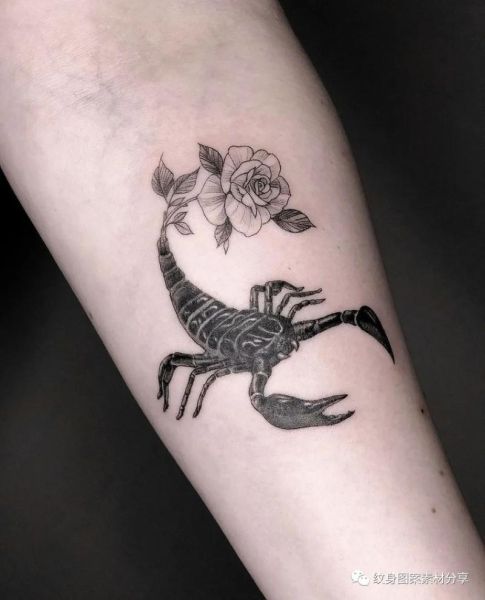 天蝎座纹身图案大全_天蝎座纹身有什么寓意