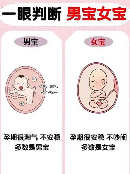 双子女生儿子几率大吗_双子女怀孕生男孩特征