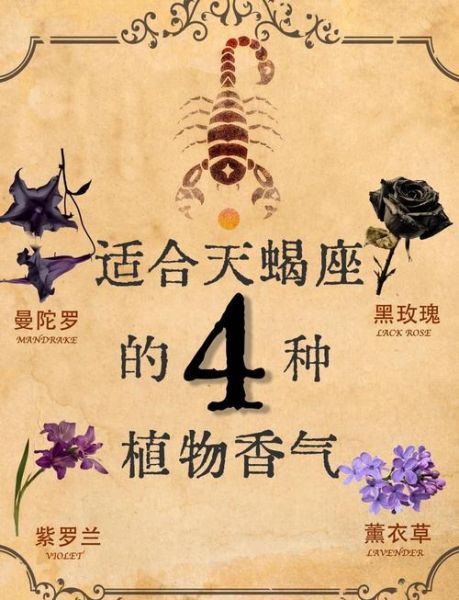 天蝎座适合养什么植物_天蝎座养什么植物旺运