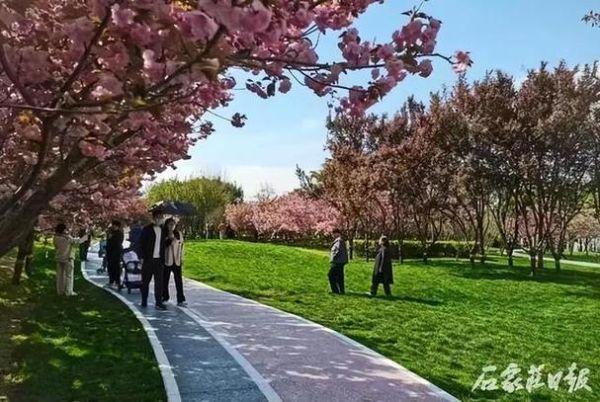 栾城魔羯是什么_栾城魔羯在哪里