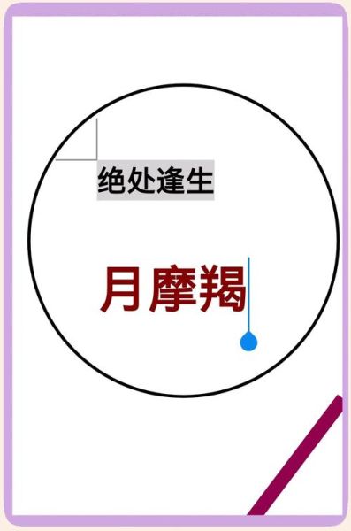 月亮魔羯城府深吗_如何相处