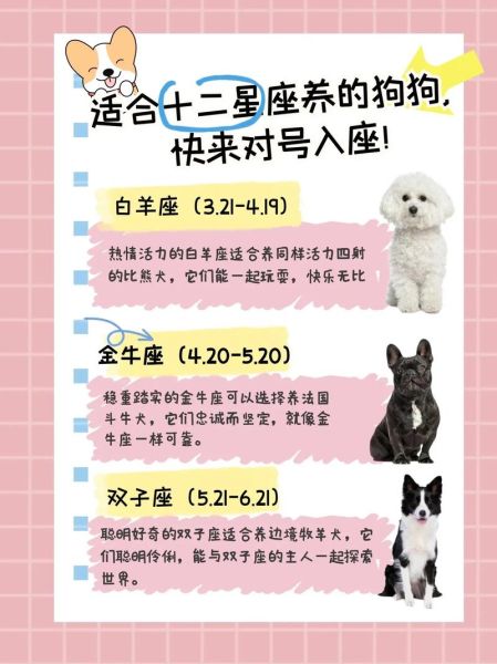 狗狗天蝎座性格特点_天蝎座狗狗适合什么主人