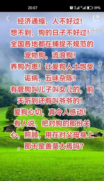 双子女说狗死了_如何安慰她