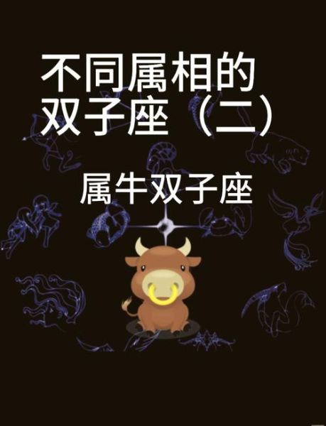 怎么追属牛双子女_属牛双子女喜欢什么样的男生