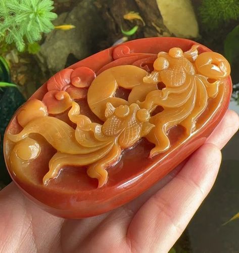 双鱼钰是什么_双鱼钰的功效与作用