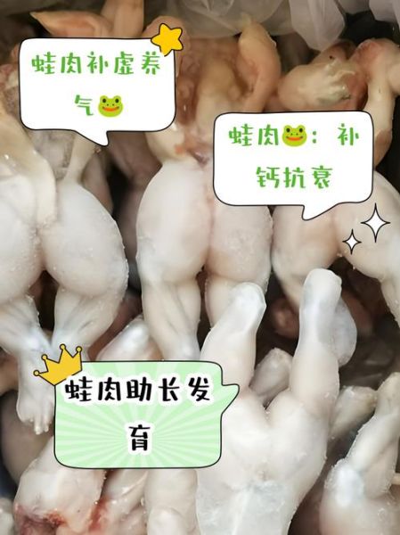 魔羯座娃王蛙是什么_如何饲养