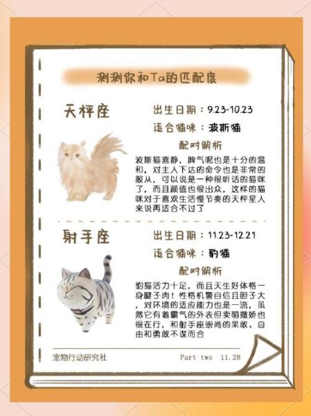 天蝎座猫猫性格特点_如何与天蝎座猫咪相处