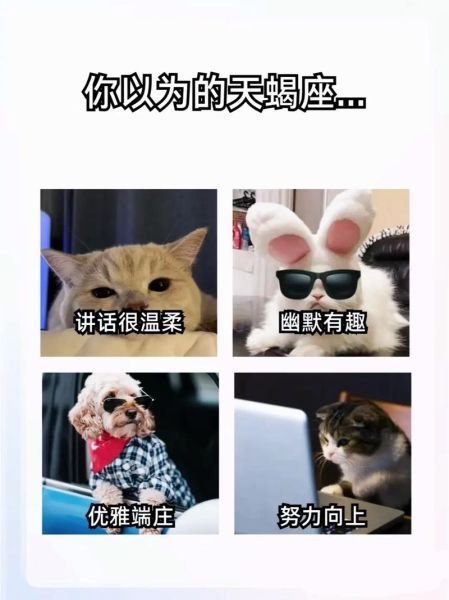 天蝎座表情含义_天蝎座冷漠表情代表什么