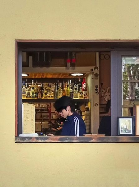 梧桐天蝎座适合养什么植物_如何布置卧室风水