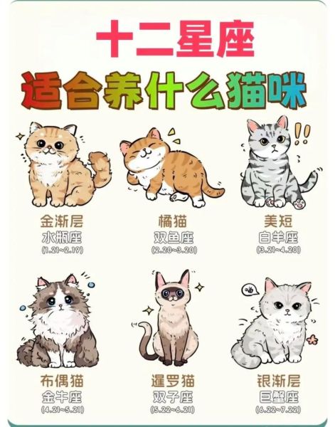 天蝎座适合养什么宠物_天蝎座猫咪性格特点