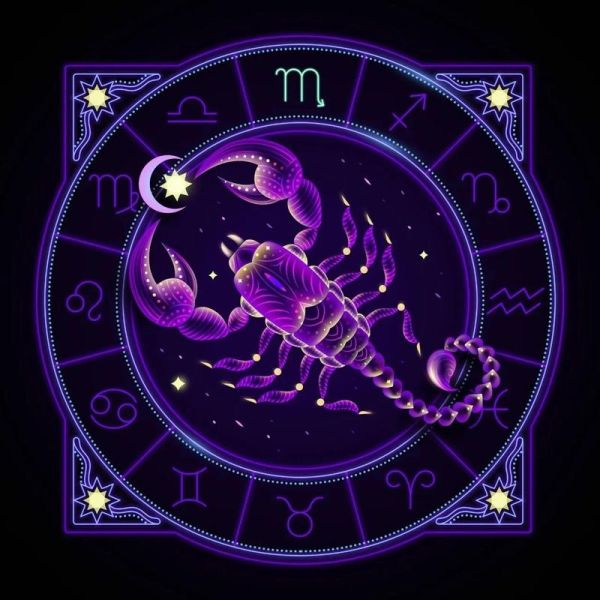 天蝎座长什么样_天蝎座真实样子图片