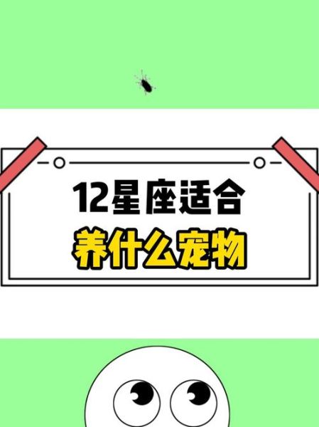 天蝎座适合养什么狗_天蝎座养狗性格匹配吗