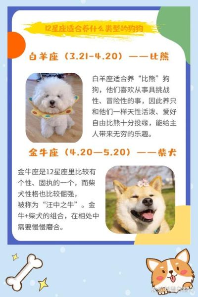 天蝎座适合养什么狗_天蝎座养狗性格匹配吗