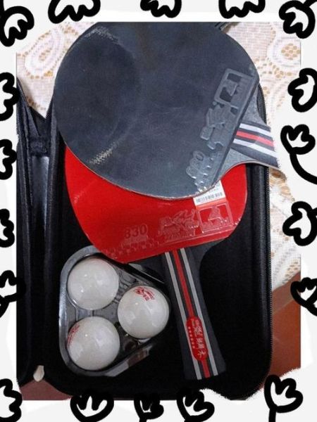 双鱼乒乓球拍怎么样_双鱼乒乓球拍哪款好