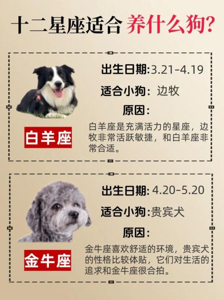 天蝎座适合养什么狗_天蝎座适合养什么狗品种