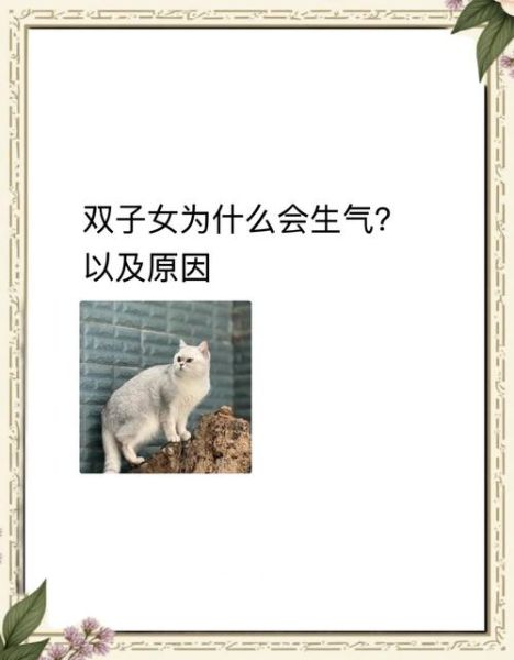 双子女突然不理人_双子女冷淡期多久