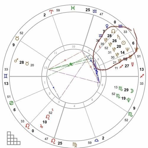 桃花金星魔羯8宫什么意思_如何提升亲密关系