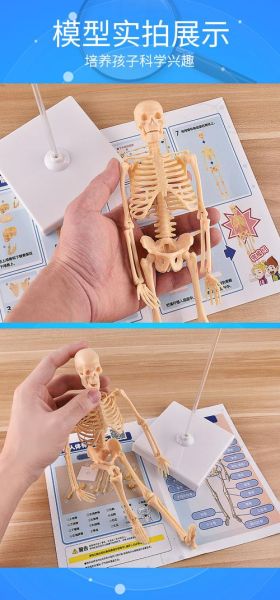 魔羯仿真_如何挑选高还原度模型